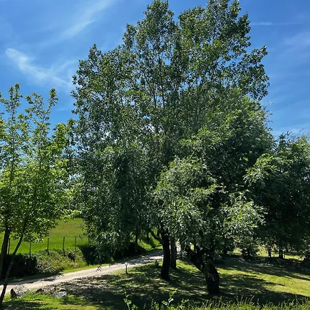 Tenuta Valdea *
